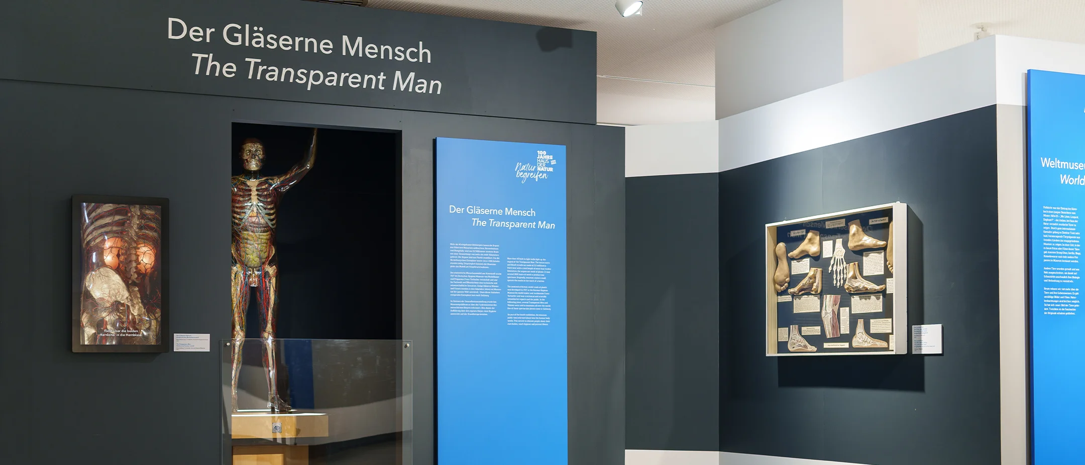 glaeserne mensch 219